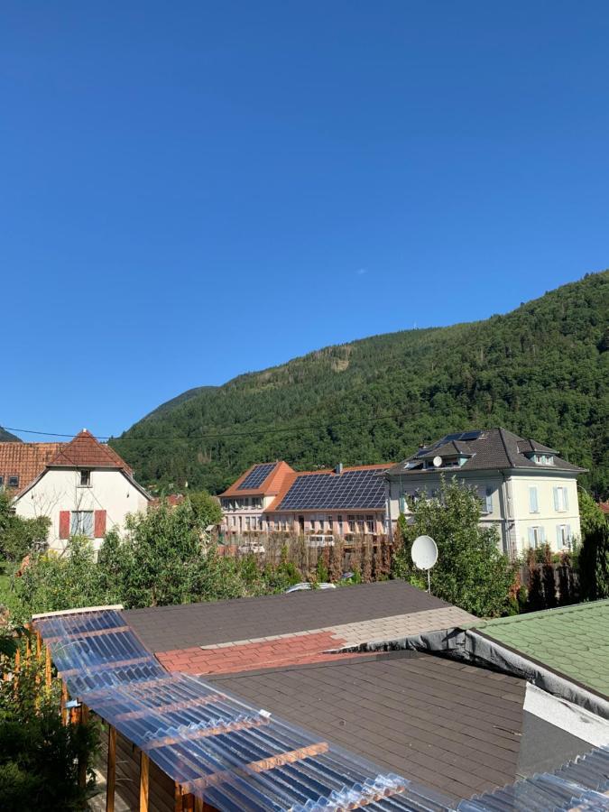 Appartement Style Rustique Urbès Kültér fotó